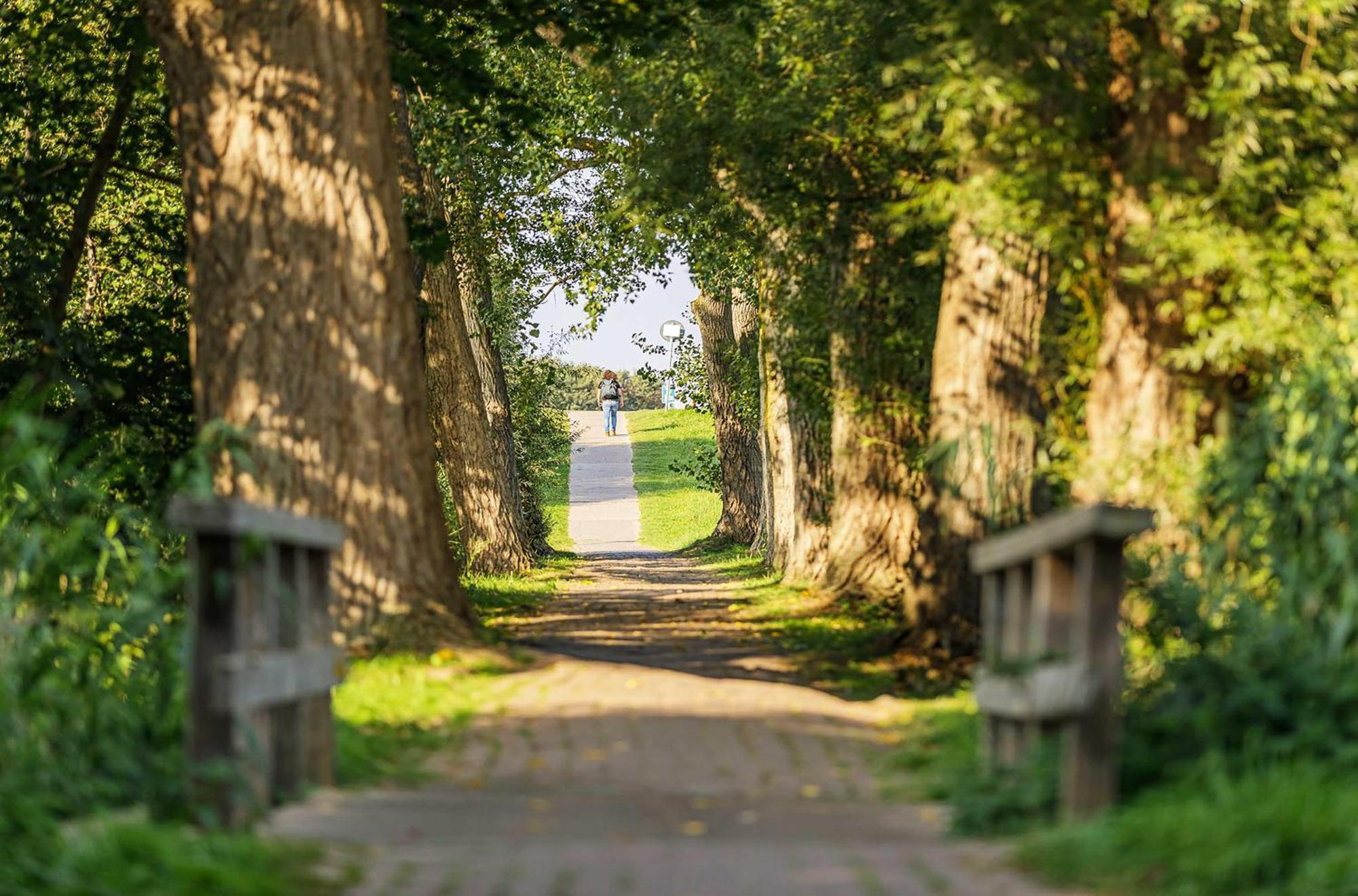 Achterndieck In Der Alten Seefahrtschule ヴストロ エクステリア 写真